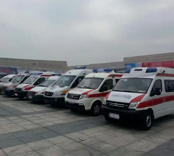 那坡县服务车队展示