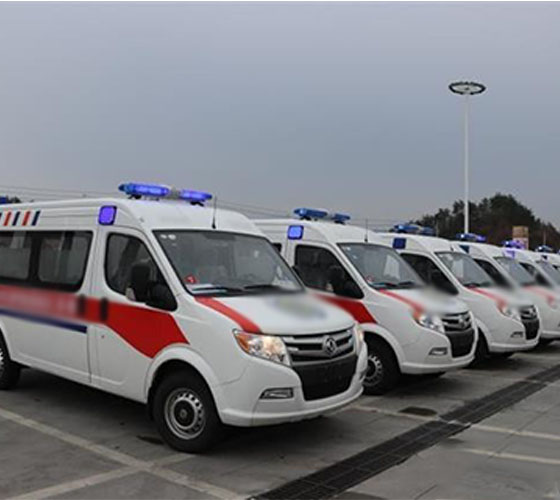 那坡县服务车队展示