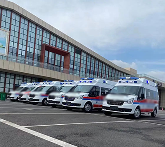 那坡县服务车队展示