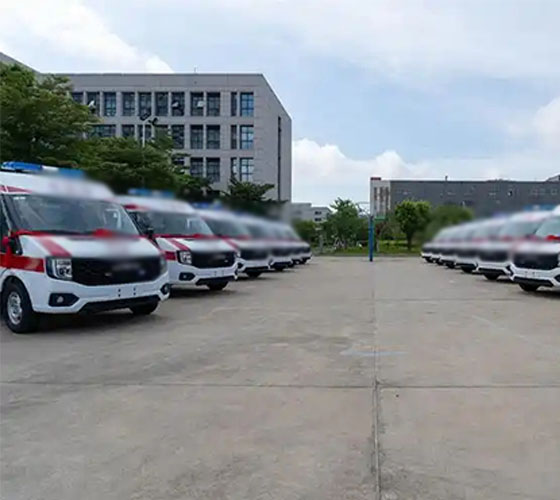 那坡县服务车队展示