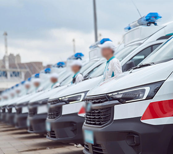 那坡县服务车队展示